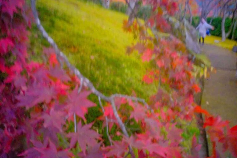 Pinhole