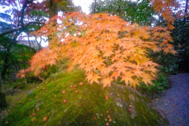 Pinhole
